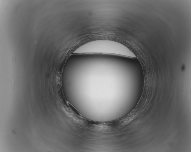 X0000089730284200706210923