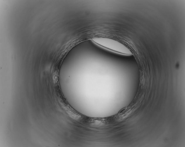 X0000089730285200706210923