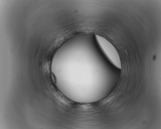 X0000089730286200706210923