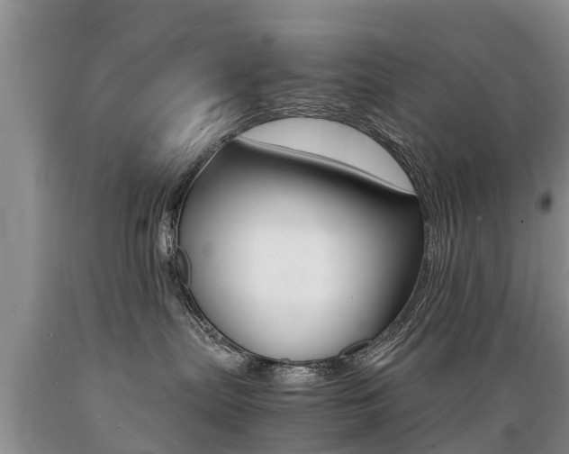 X0000089730287200706210923