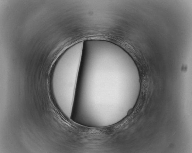 X0000089730290200706210922