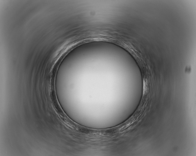 X0000089730291200706210922