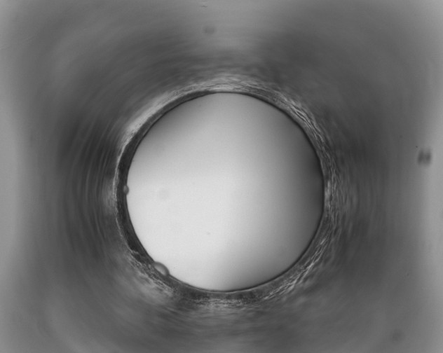 X0000089730292200706210922