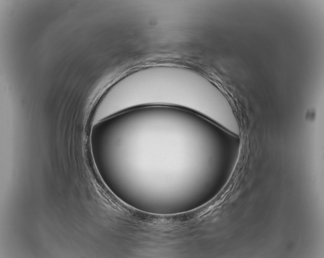 X0000089730293200706210922