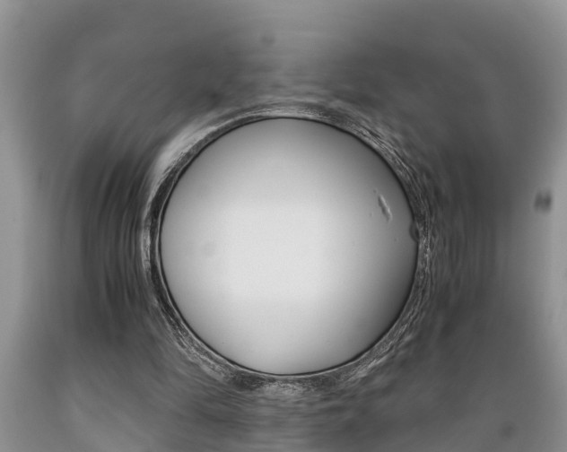 X0000089730294200706210922