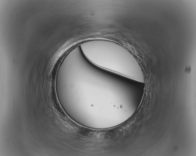X0000089730295200706210922