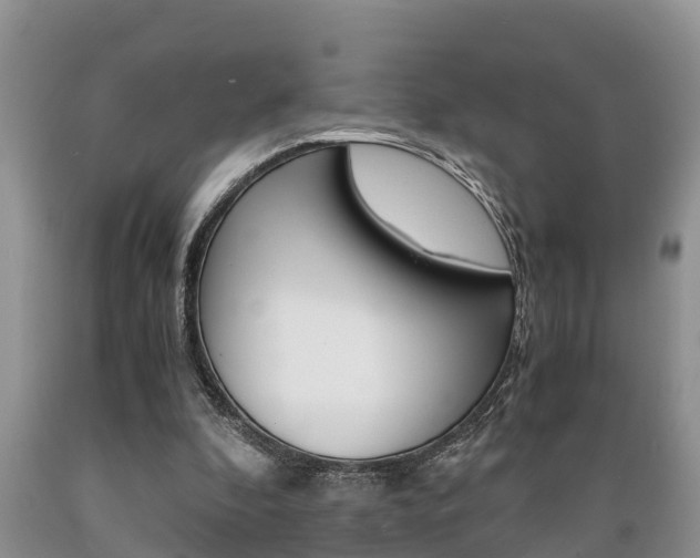 X0000089730296200706210922