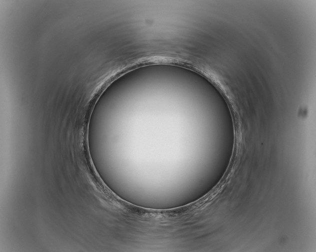 X0000089730297200706210922