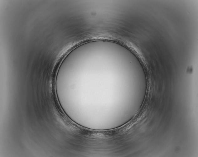 X0000089730298200706210922