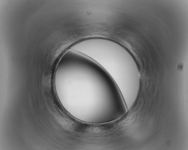 X0000089730299200706210922