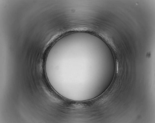 X0000089730300200706210922