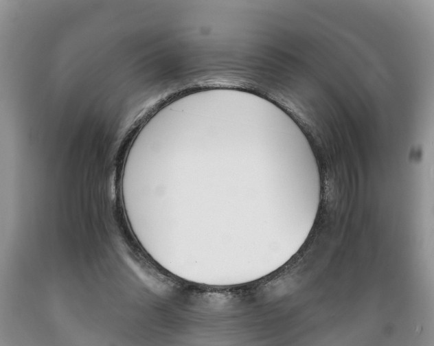 X0000089730302200706210922