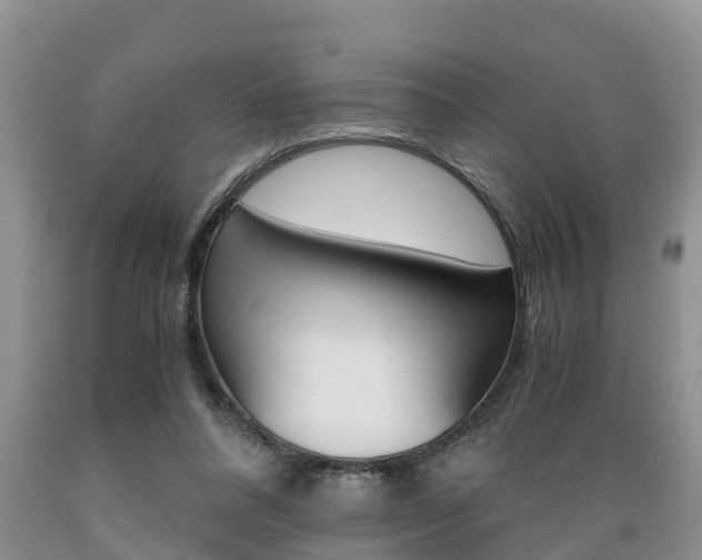 X0000089730304200706210922