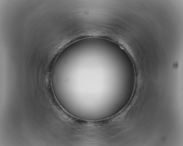 X0000089730305200706210922