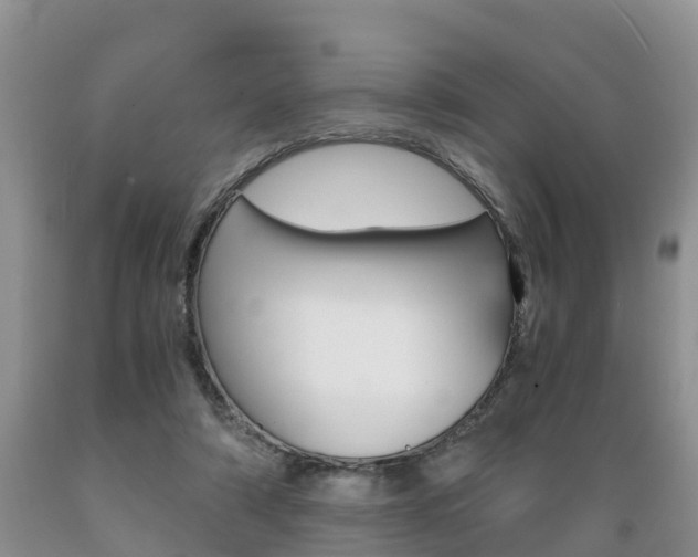 X0000089730306200706210922