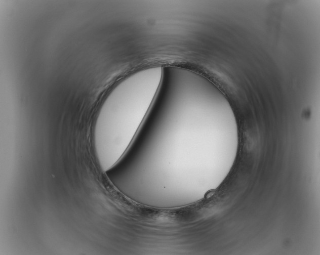 X0000089730308200706210922