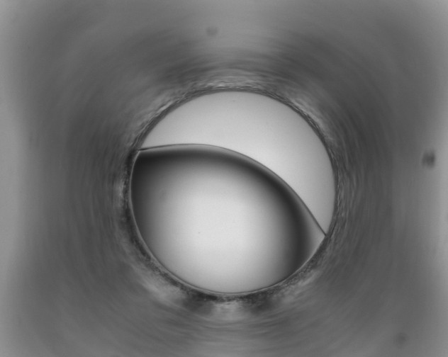 X0000089730309200706210922
