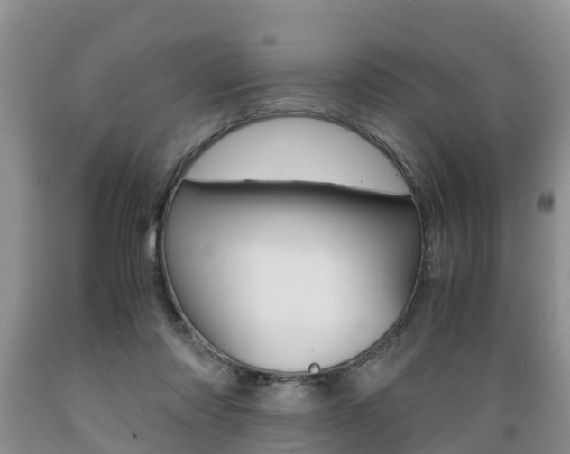 X0000089730310200706210922