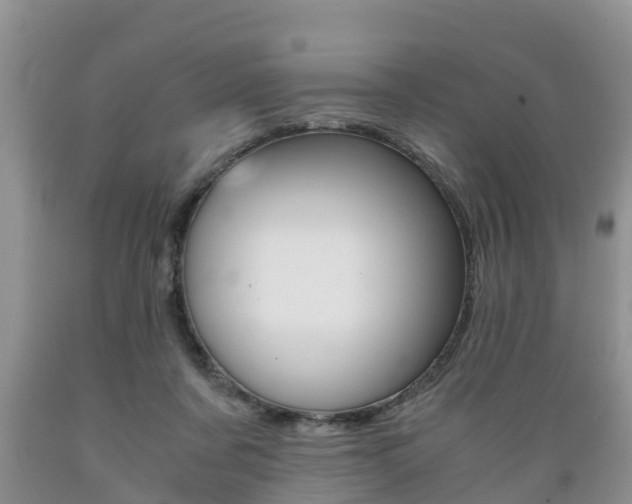X0000089730311200706210922