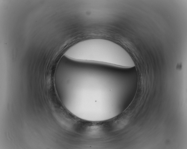 X0000089730312200706210922