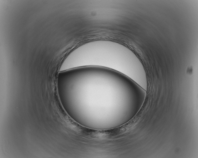 X0000089730313200706210922