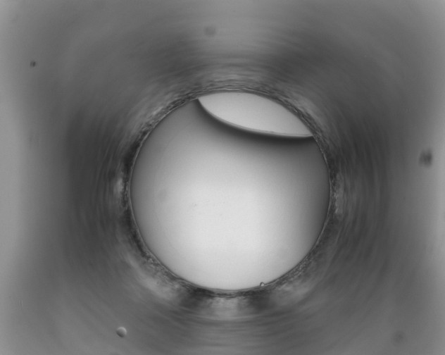 X0000089730314200706210922