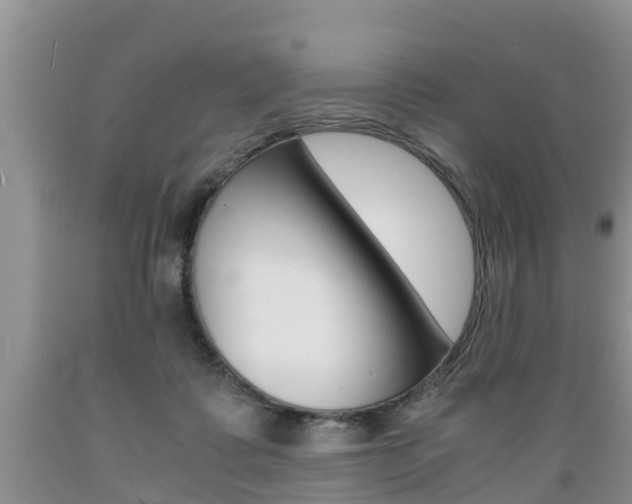 X0000089730315200706210922