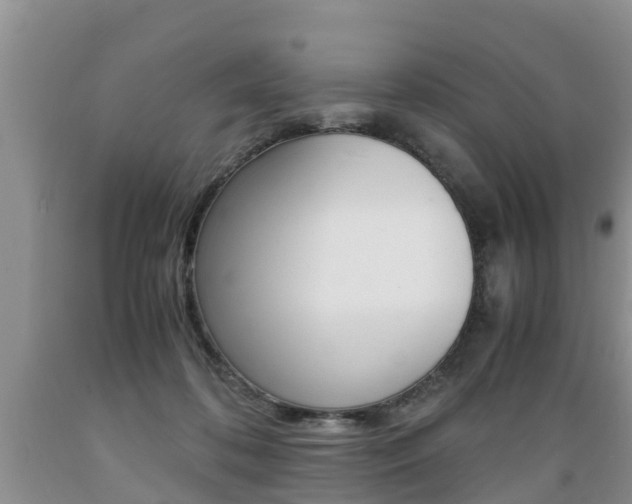 X0000089730316200706210922