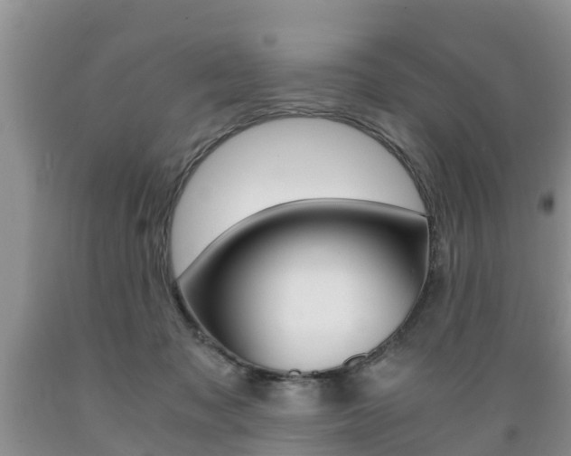 X0000089730317200706210922