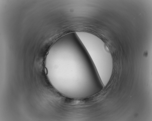 X0000089730319200706210922