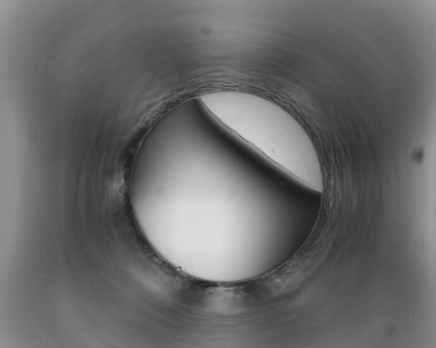 X0000089730320200706210922