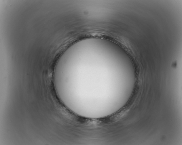 X0000089730321200706210922