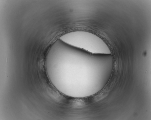 X0000089730322200706210922