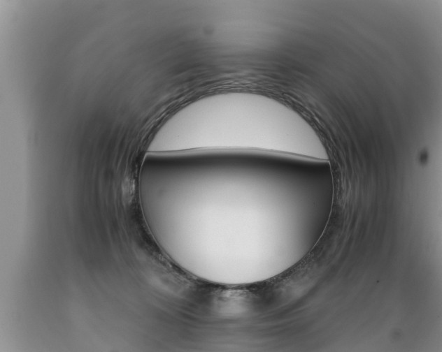 X0000089730324200706210922