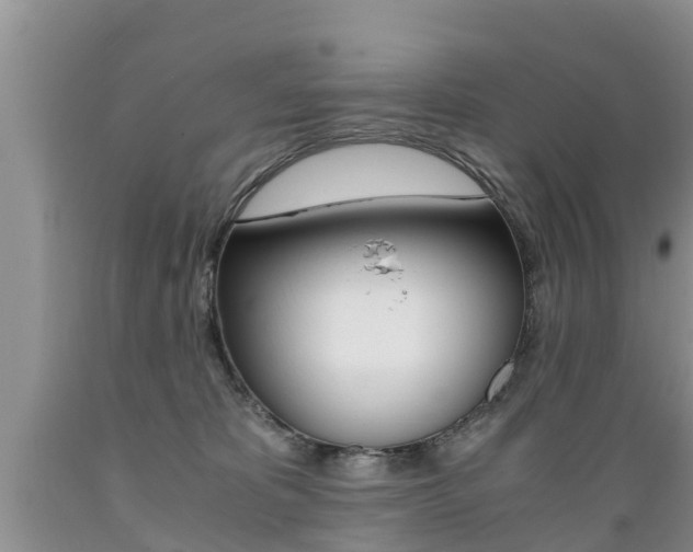 X0000089730325200706210922