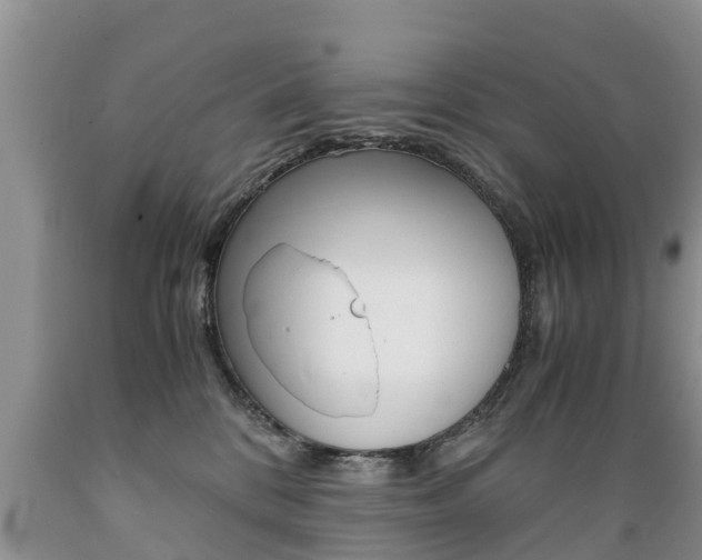 X0000089730328200706210922