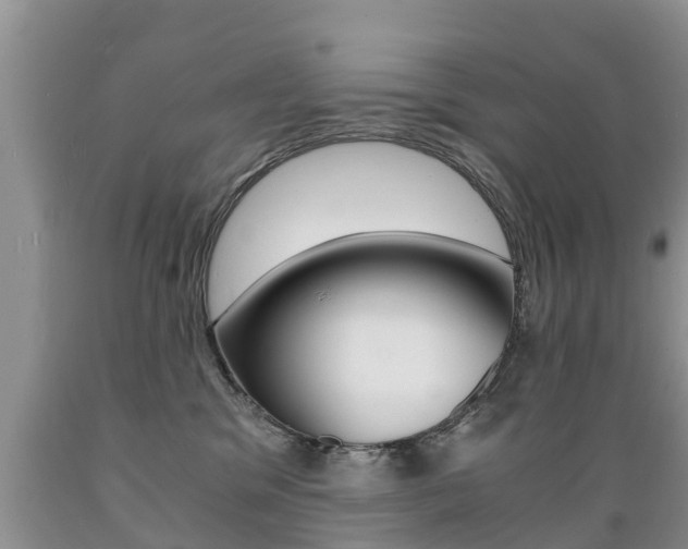 X0000089730329200706210922