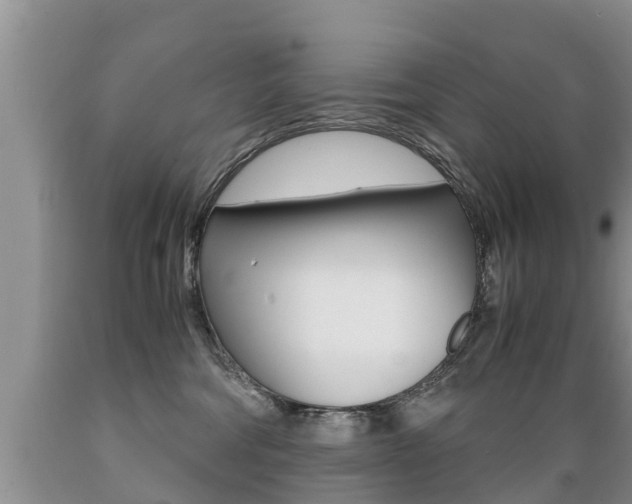 X0000089730330200706210922