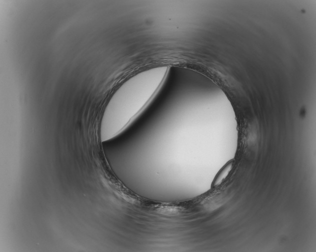 X0000089730332200706210922