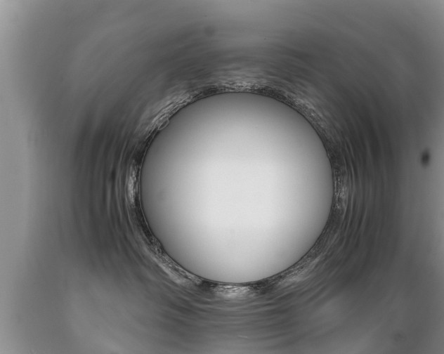 X0000089730334200706210922