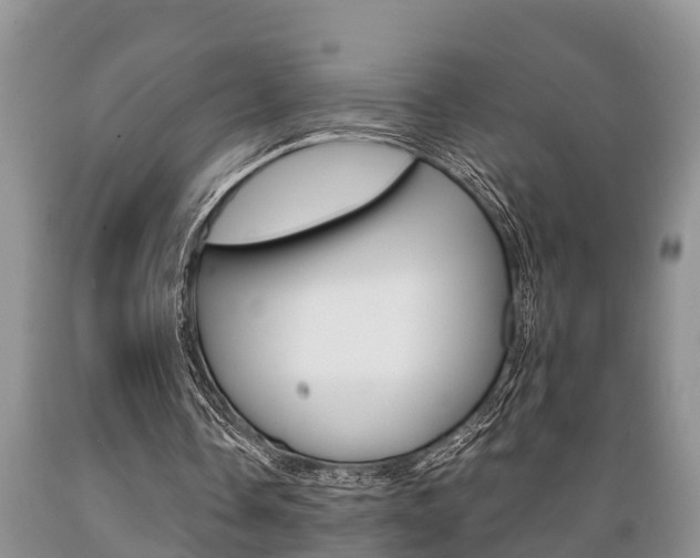 X0000089730338200706210921
