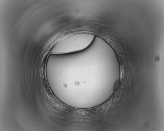 X0000089730339200706210921