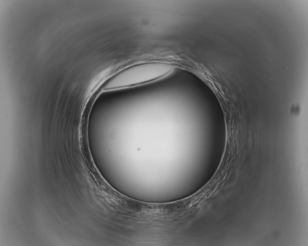 X0000089730340200706210921