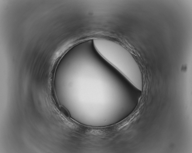 X0000089730341200706210921