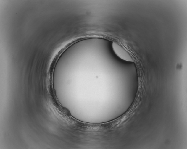 X0000089730342200706210921