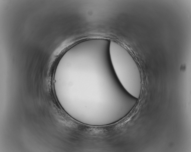 X0000089730343200706210921
