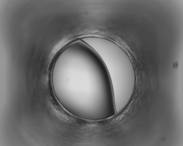 X0000089730344200706210921