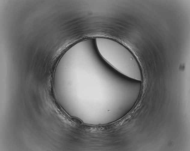 X0000089730345200706210921