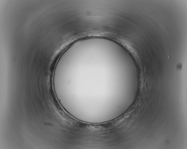 X0000089730346200706210921