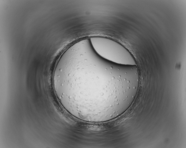 X0000089730347200706210921